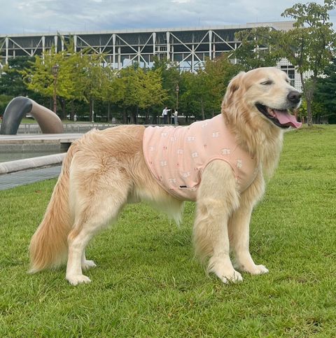 LINE_ALBUM_Plumpy_250314_66