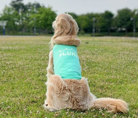 LINE_ALBUM_Plumpy_250314_12