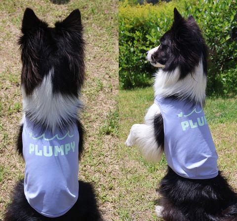 LINE_ALBUM_Plumpy_250314_6