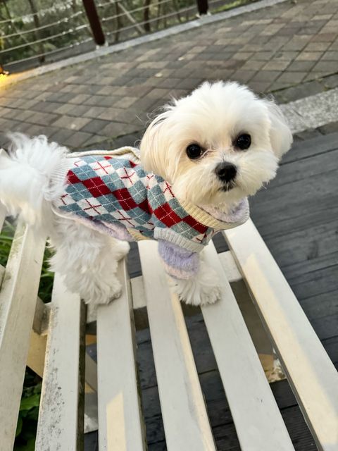 image_295A31EA-73D7-4DC2-81D7-950F5E84745F_1742905049