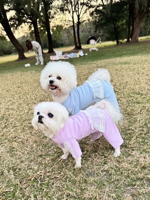 image_FA618946-1FA6-44F9-BBCA-2ACA9953EA01_1742925264