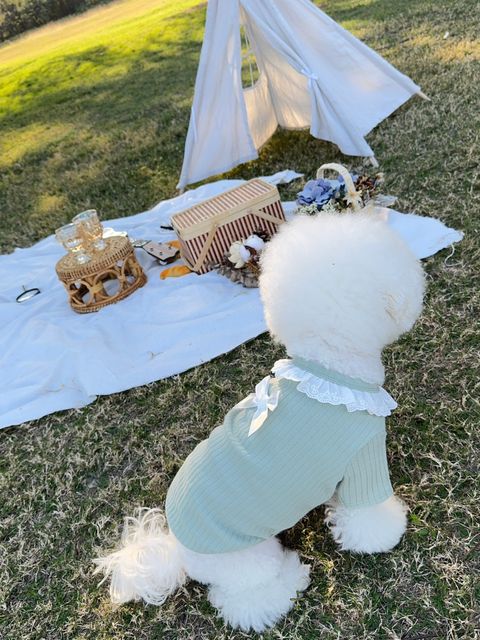 image_27BD2AFC-41DD-4C23-8F9C-7B7E5F00B748_1742926829