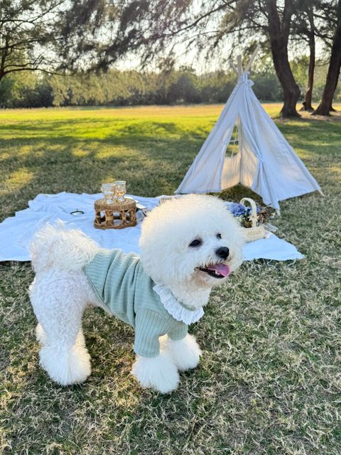 image_9DD93419-CA26-46B4-9F8B-96D6FAB4BCC7_1742926830