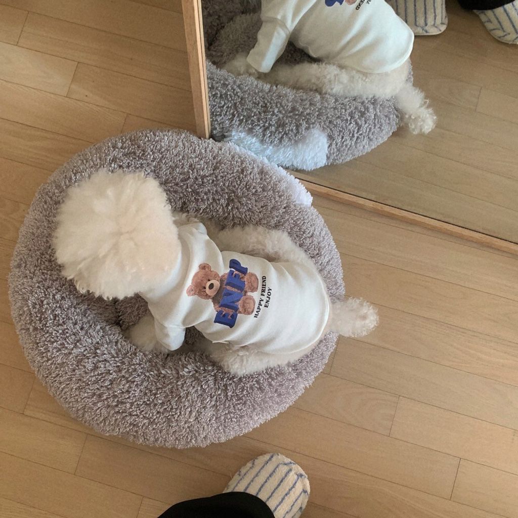 LINE_ALBUM_Honneydog_250326_40