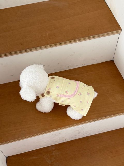 LINE_ALBUM_Doggyholic 2_250326_15