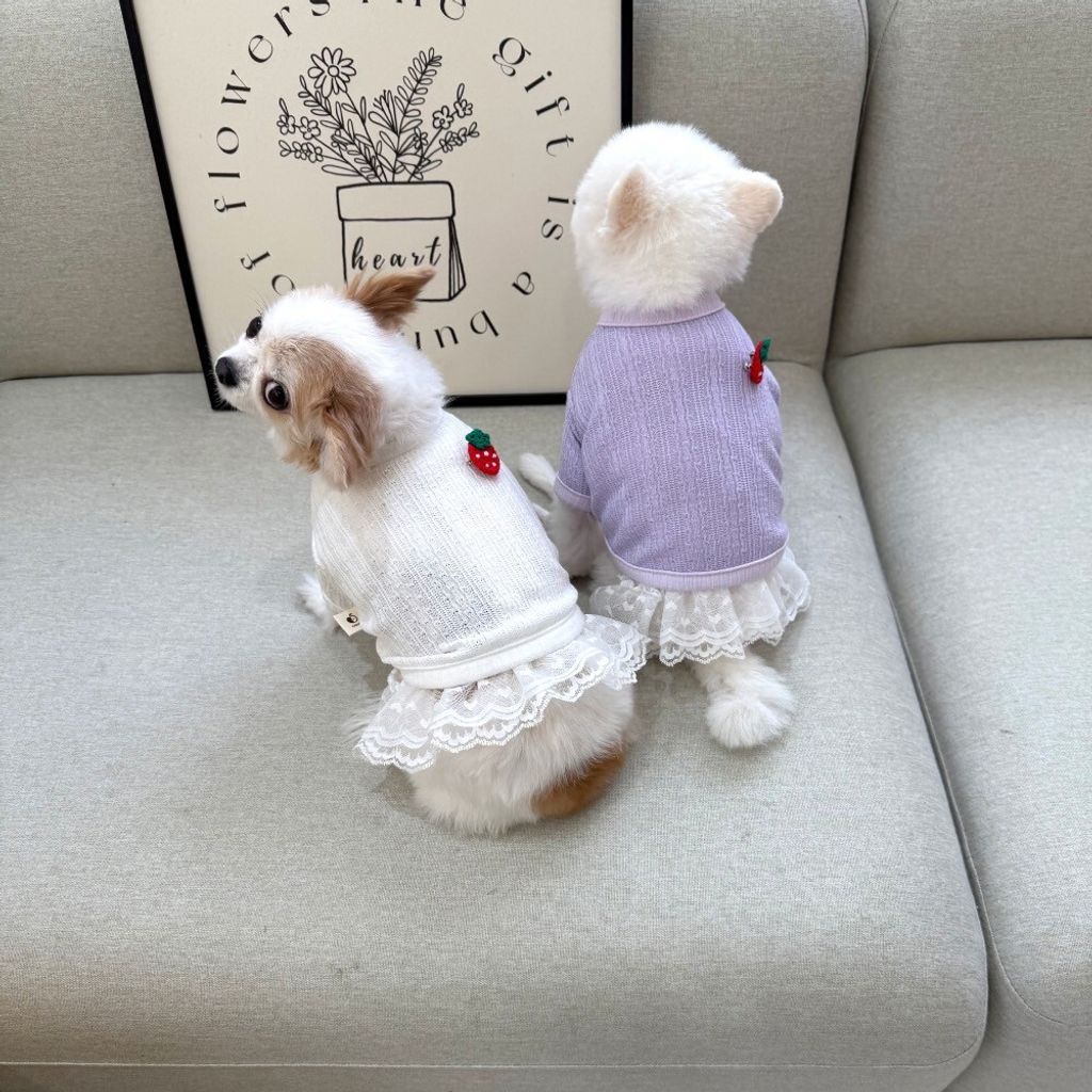 LINE_ALBUM_Appleapple_250327_15
