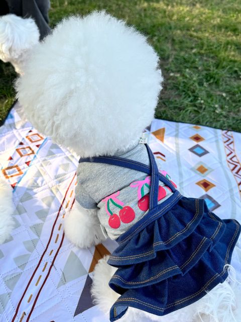 image_8EFD1BFD-D3D6-4851-AA7D-8FD73C0D741B_1744194679