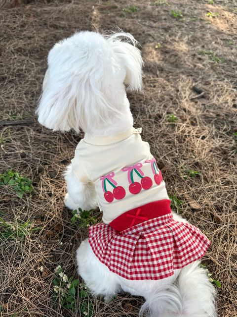 image_A077B5F4-7427-4C16-9038-DB1D65E59599_1744194972