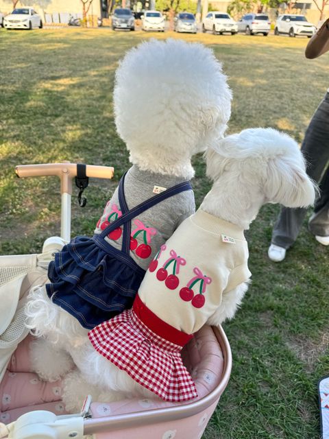 image_95BA3ECF-A574-4A28-9EA0-76D8D7D33C38_1744194972