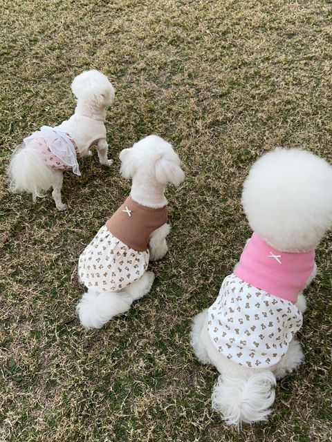 image_984D8093-4DBD-49CA-8CA5-867A45CE1625_1744282546