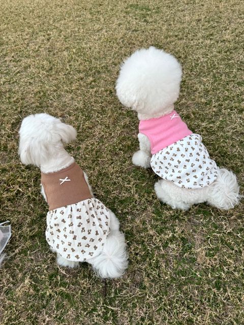 image_82963C1D-D8A9-48B6-89CF-F52EE6C217DB_1744282548