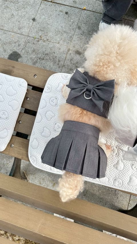 image_836B35A1-00F3-4692-8D9C-16EF0291F0B8_1745381514