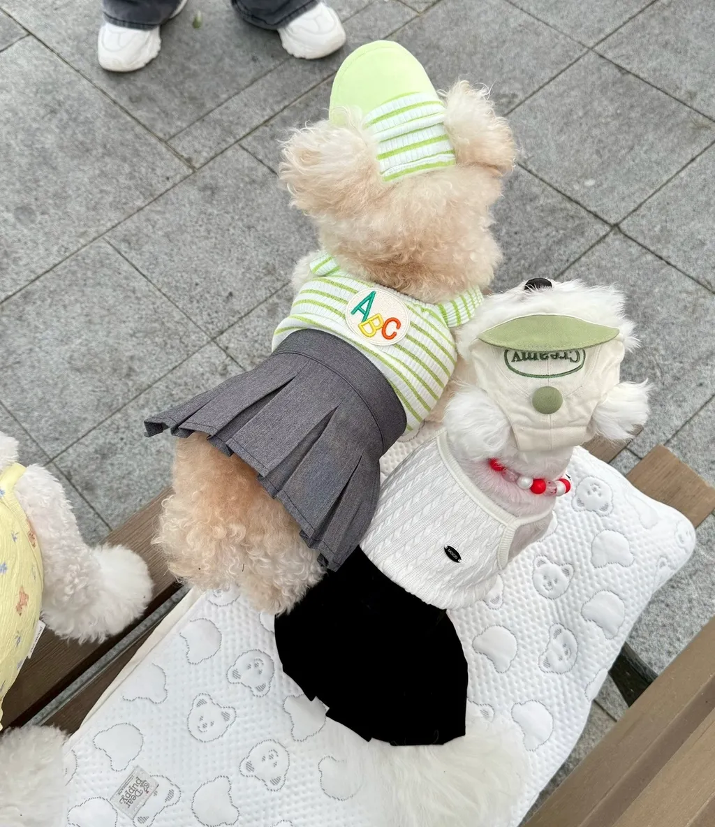 image_17CE7D8B-4B26-40BE-A047-8DD7BA3503D2_1746016496