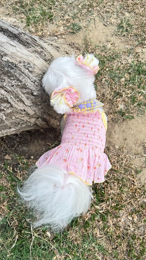 image_E4A2BC00-A26E-4CDB-A3BE-6E83CC77F47A_1746438729