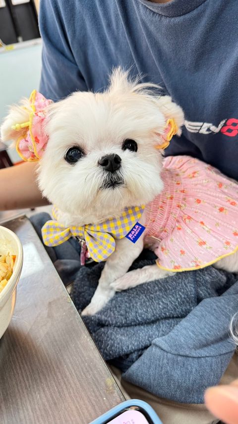 image_3198C6CB-2CAC-4AD4-906E-11697BE48B1A_1746438729