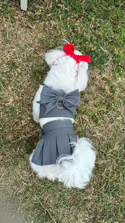 image_5D19FADA-C219-43CD-87FB-2DD62FDAED8A_1746439241