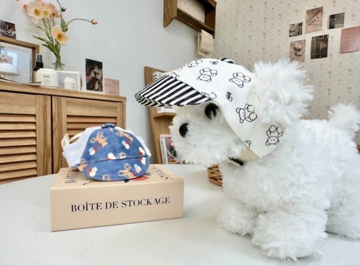 LINE_ALBUM_Doggyholic 2_250510_6