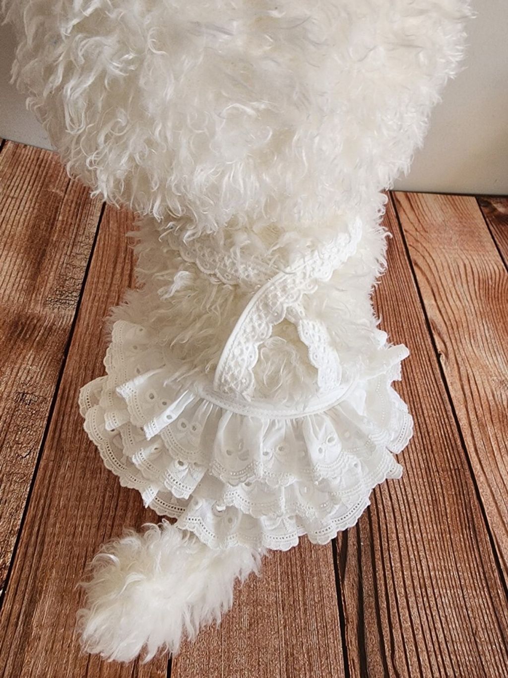 LINE_ALBUM_Doggyholic 2_250510_78