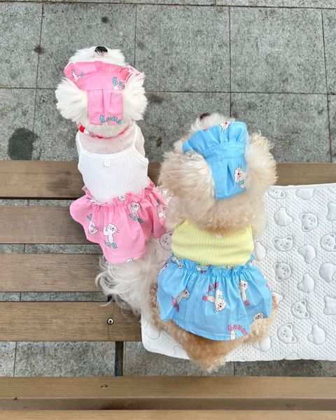 image_BFBB82A2-BCFD-4B14-983C-D56CCD4F6606_1747108887