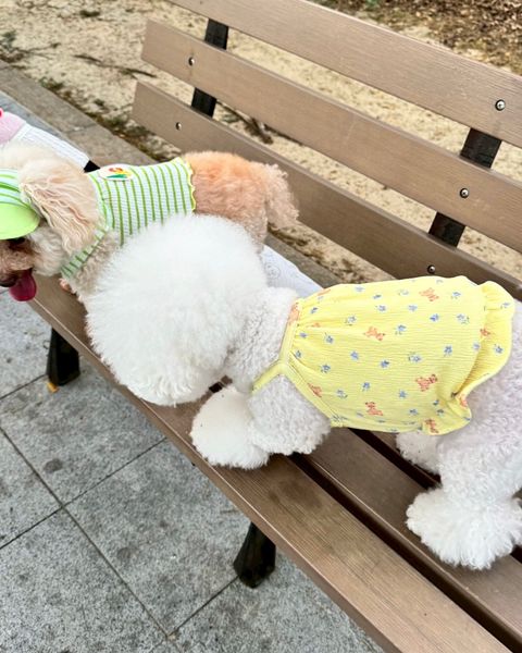 image_05BEA71C-4987-4199-8453-38DADBAEE7CD_1747130778