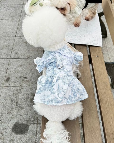 image_A444F162-9F21-48FD-81AD-AF4D819B16A1_1747130834