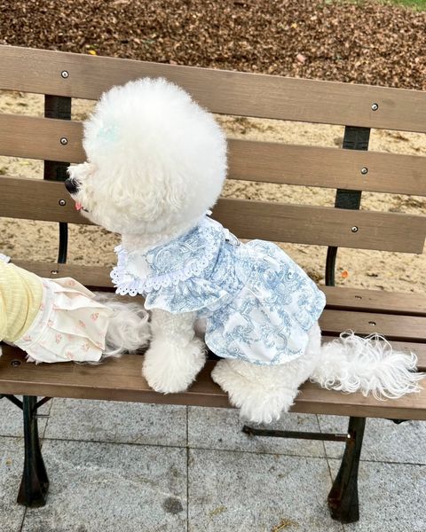 image_729D3105-EAAA-4346-AB52-5B68355070CD_1747130834