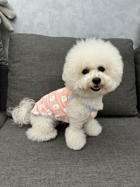 image_D8CAC0CC-4421-4622-8714-F918374AA0ED_1747303148