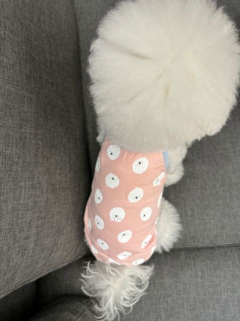 image_92CF33E5-C377-498F-855B-9E6BD50C8C6F_1747303148