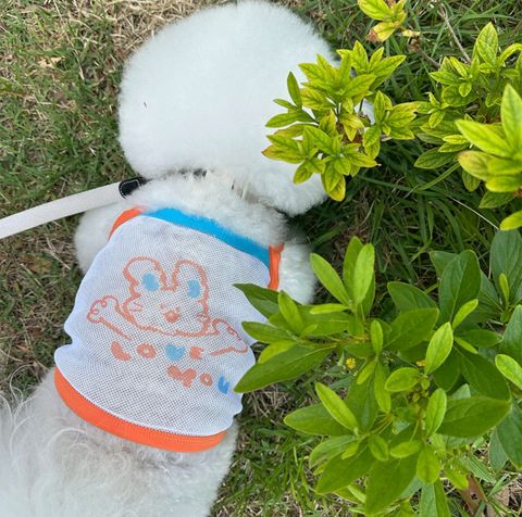 LINE_ALBUM_Zoobico_250523_48