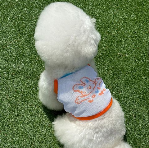 LINE_ALBUM_Zoobico_250523_50