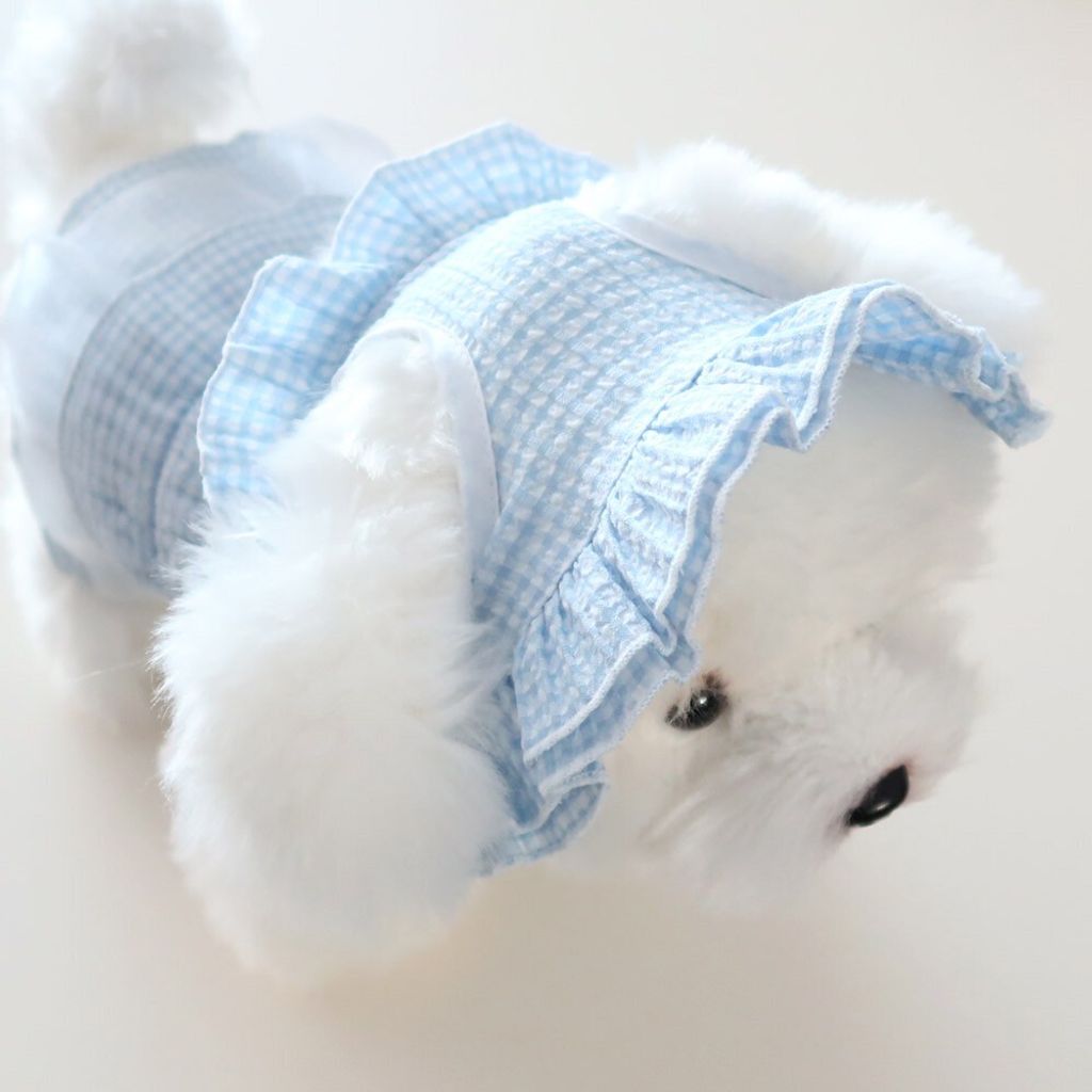 LINE_ALBUM_Petmood_250523_19