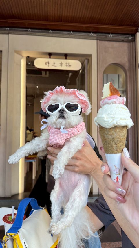 LINE_ALBUM_Petmood_250523_35