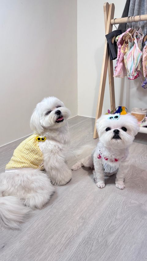 image_FD3B426E-0337-448D-A365-E315AAA9FDC8_1748773862