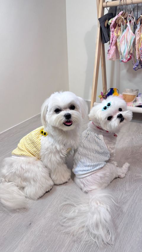 image_C1174D49-3621-4E2B-90F2-931578B7E27C_1748773862