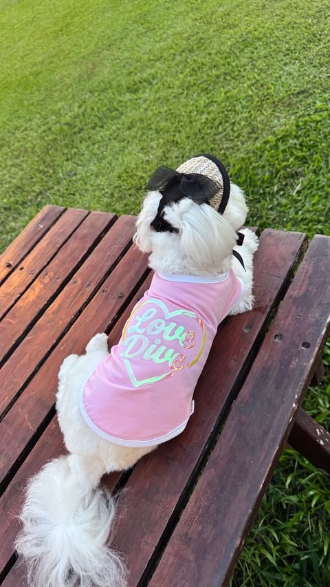 image_BE830497-A7B4-439F-A8B0-4ABF0A65C635_1751182500