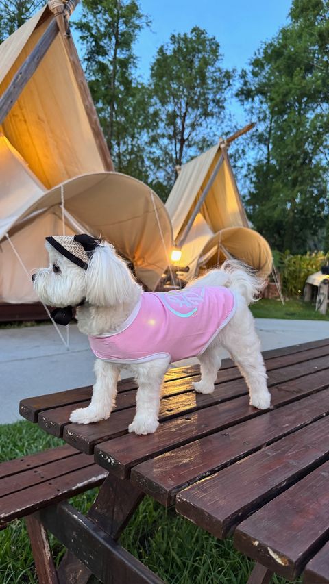 image_E98E2476-6EA2-4947-9760-9983E34A98BA_1751182500