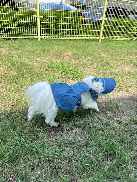 image_DBC9A39F-7CF6-44FD-890C-7D39EA878EE4_1751195142