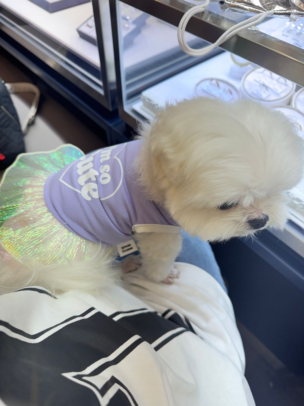 image_3C7D5557-B12E-46DA-8300-1433DC5F8109_1751195281