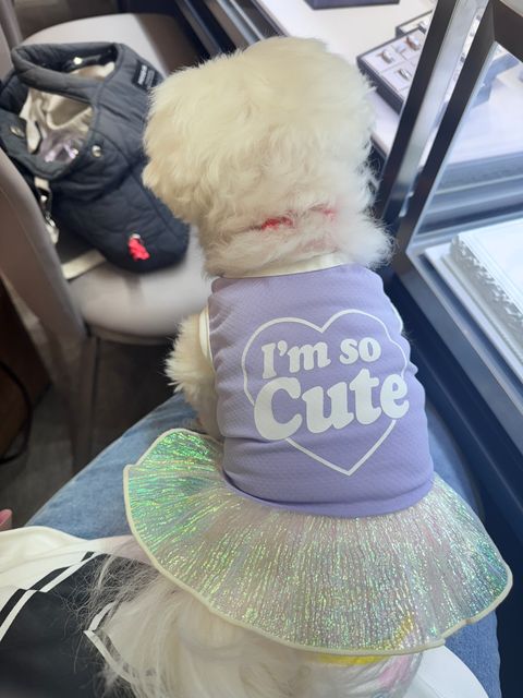 image_F5AF84AB-7B02-4AB4-B705-8AE04FB92B8D_1751195281