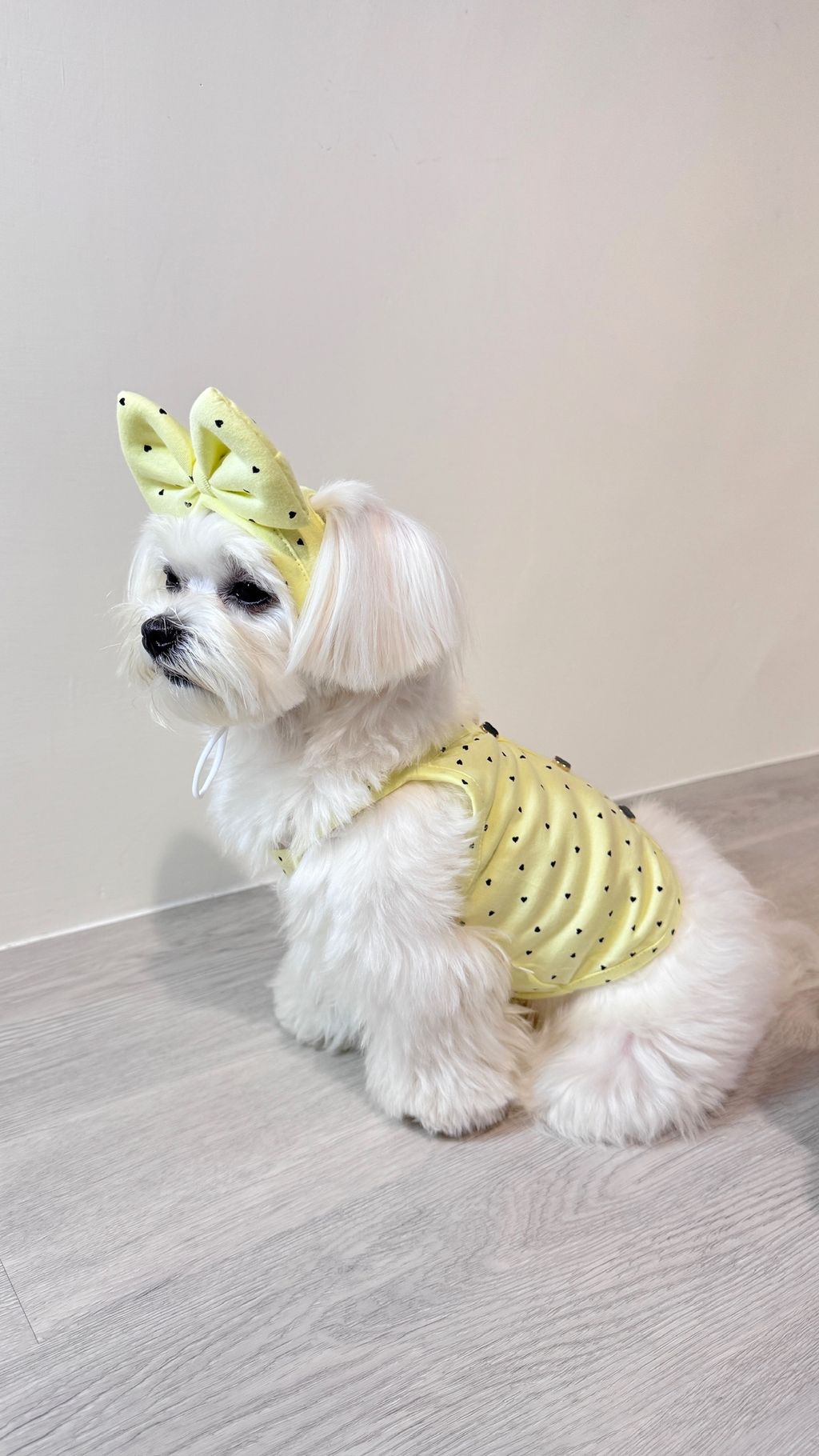 image_C90BE0DD-7771-4124-BD6E-CF6B142FF083_1751195803