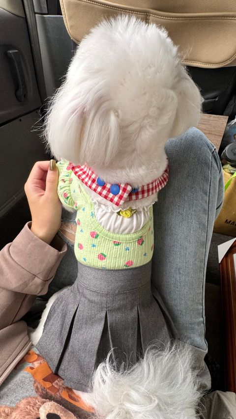 image_56A2B32A-423A-44AF-980B-1DC41582CD12_1751197472