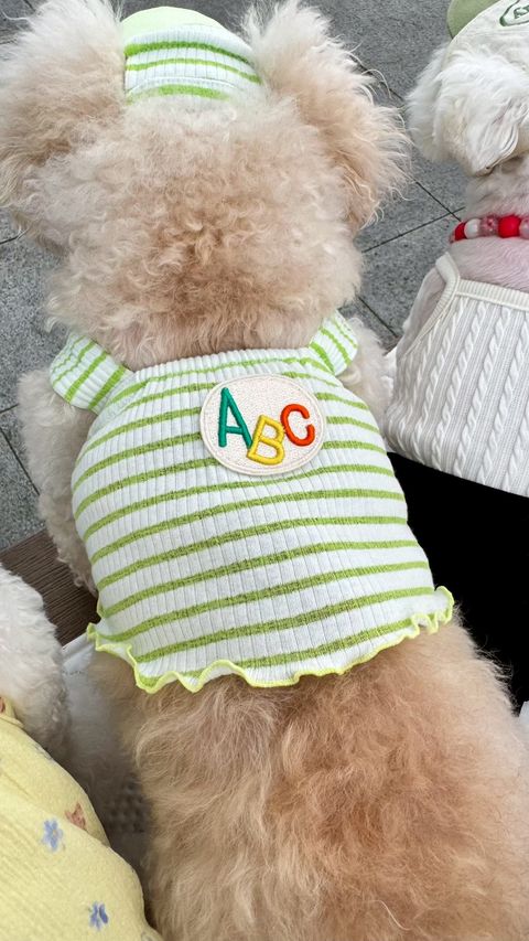 image_F08A36CD-7945-40AB-947B-BFB2C1DE71C9_1751197725