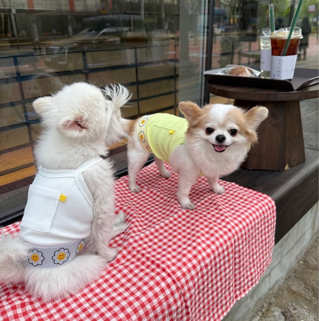 LINE_ALBUM_Appleapple_250701_24