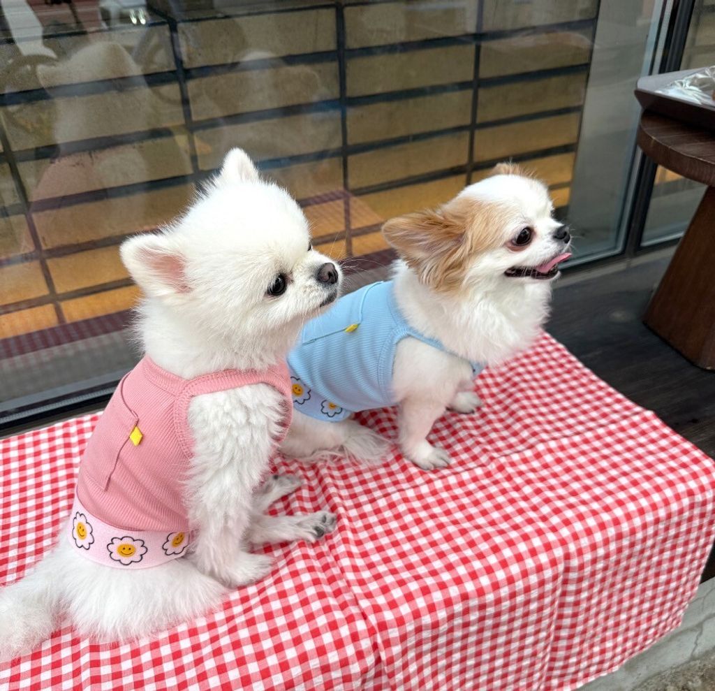 LINE_ALBUM_Appleapple_250701_28