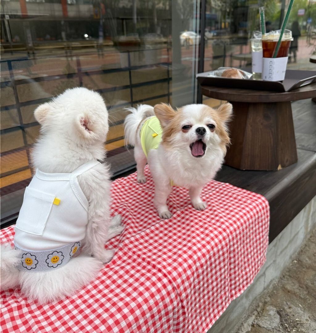 LINE_ALBUM_Appleapple_250701_23