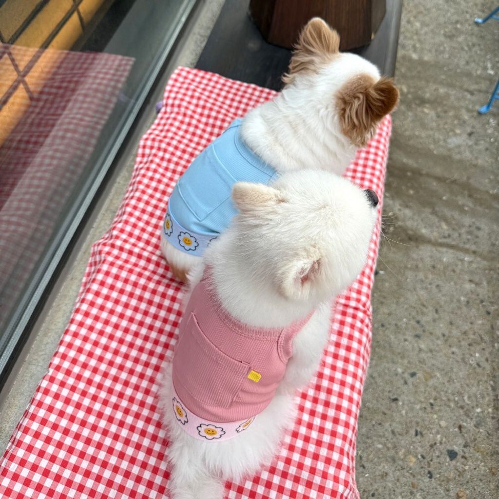 LINE_ALBUM_Appleapple_250701_27