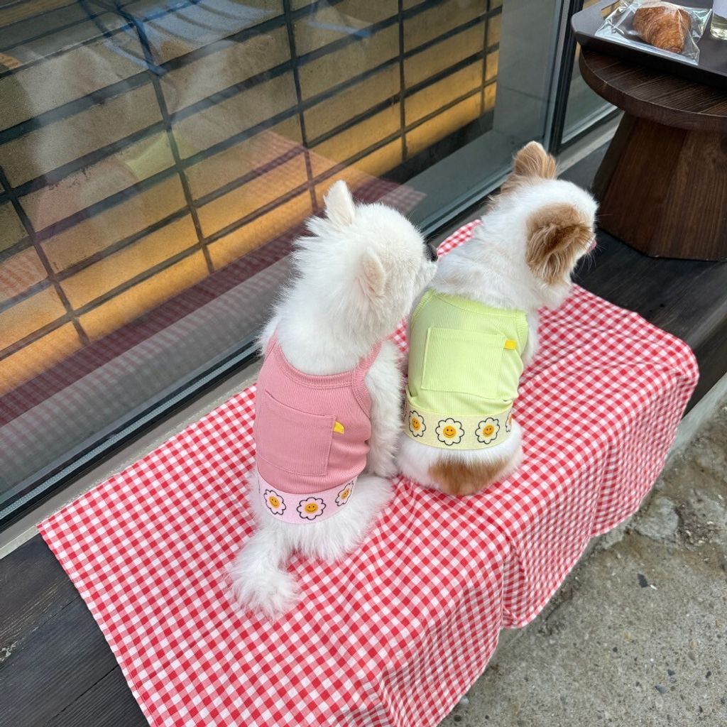 LINE_ALBUM_Appleapple_250701_26