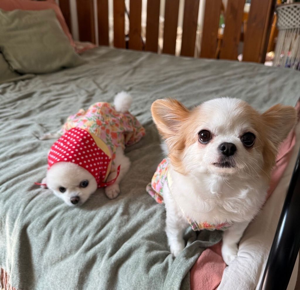 LINE_ALBUM_Appleapple_250701_12