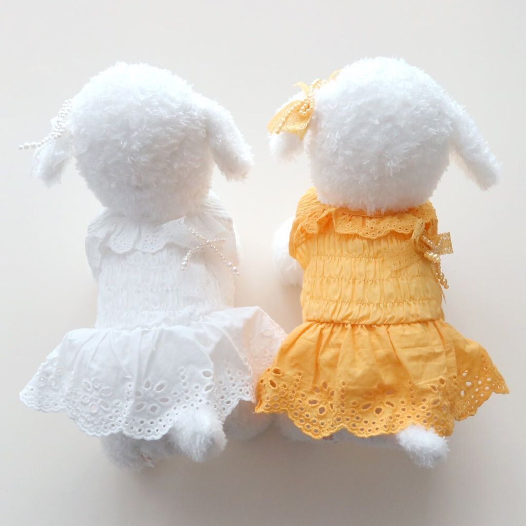 LINE_ALBUM_Honneydog_250703_12