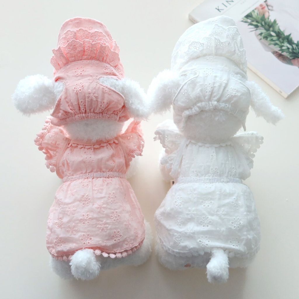 LINE_ALBUM_Honneydog_250703_29